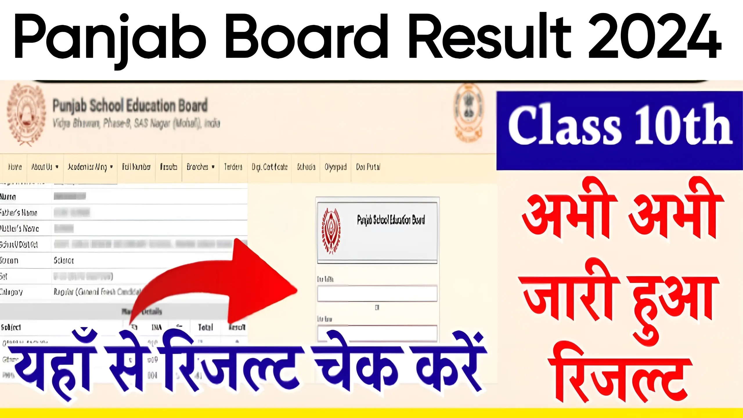 Punjab Board Result 2024